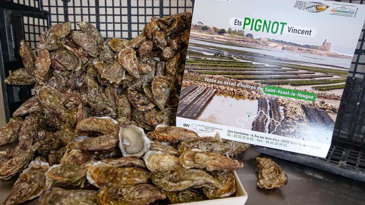 Huîtres triploïdes à Cherbourg-en-Cotentin